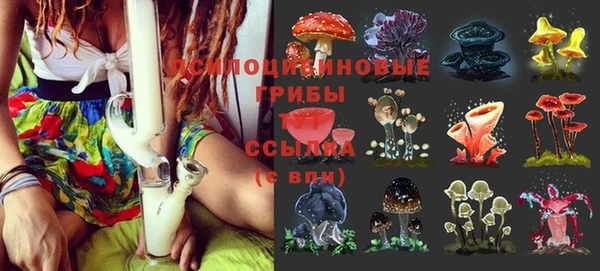 spice Лабытнанги