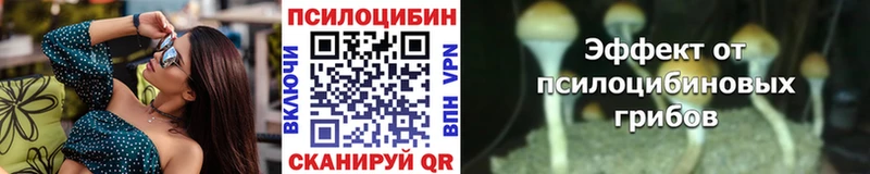 Купить закладки  Йошкар-Ола  Галлюциногенные грибы Magic Shrooms 